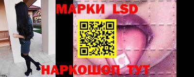 spice Обнинск